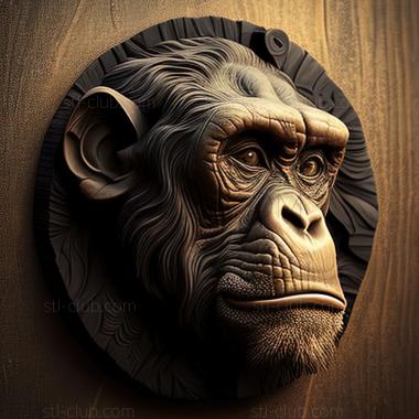 3D model st Congo chimpanzee famous animal (STL)